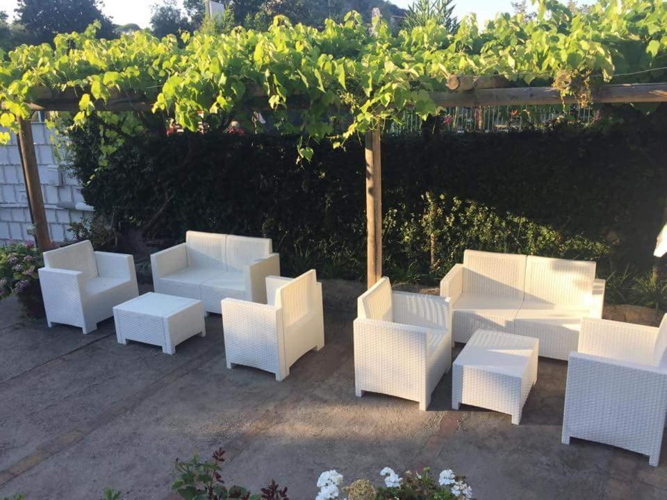 Sweet Home Lacco Ameno  Exterior photo
