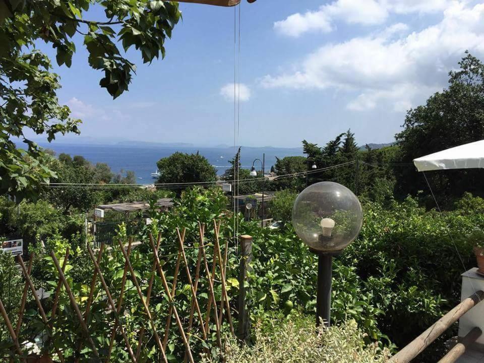 Sweet Home Lacco Ameno  Exterior photo